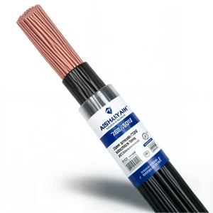 سلك كهرباء نحاس مجدول 25 ملم 450/750 فولت عزل PVC 70°C لون اسود | شركة كابلات الشرقية للصناعة