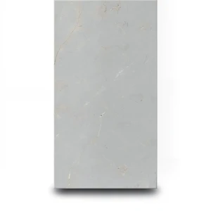 Porcelain Floors 60x120x0.87 cm Grey Color Luna
