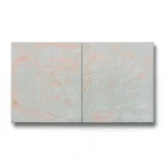 بلاط ارضيات بورسلان 2×60×60 سم رمادي، موديل كورال ستون