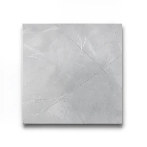 Lustrous Polish Porcelain Floor Tiles 160x80 cm, Grey