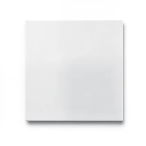 Polish Porcelain Tiles 120x120 cm, White Color, Panda Model