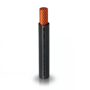 THHN/THWN Copper Cable PVC 105°C Insulation 2.08 mm² Diameter 2.7 mm 600 Volt 500 Feet Black | Al Fanar