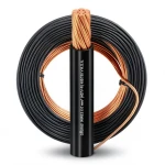 Copper Electrical Stranded Wire 10mm 450/750V PVC Insulated, Black | Al Fanar