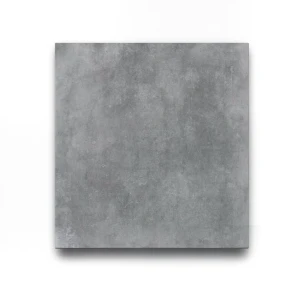Porcelain Flooring 0.8×60×60 cm Grey, Entis Model