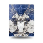 Indian Porcelain Floor Tiles Size 120×240 cm, Azul A Color, Model Infinito