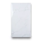 Indian Porcelain Floor Tiles Size 120×60 cm, Polaris Satvario Model
