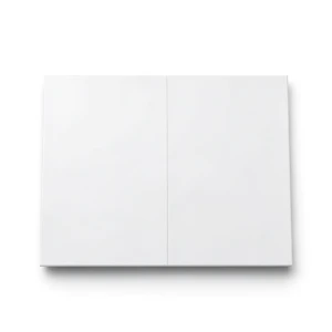 Porcelain Flooring Matte Surface 240x120 cm Rectangular