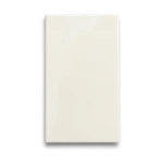Indian Porcelain Flooring 60x120 cm Glossy Bianco