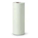Spanish Wallpaper Pale Green Color Plain Design, Size 10mx0.53m