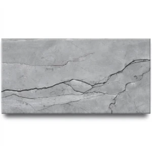 Indian Porcelain Floors 60x120 cm Matte Sculpture Surface, Grey