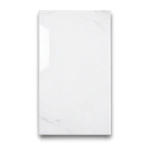 Indian Porcelain Floors 60x120 cm White Glossy Rectangular