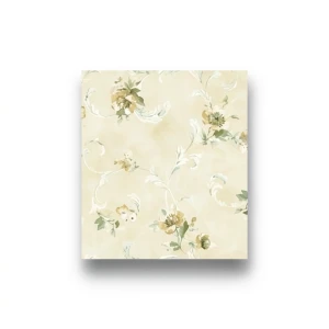 Classic Wall Decoration 10mx0.53m Beige and Green, Model aq50307