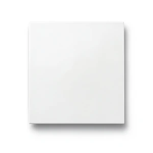 Porcelain Floor Tiles Thickness 9 mm, Size 30x30 cm, White Color, Universe Model