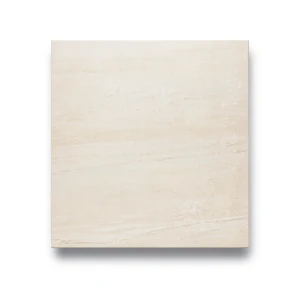 Porcelain Floor Tiles Height 10 mm, 60x60 cm, Beige, Wild Model