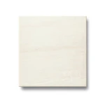 Porcelain Floor Tiles Height 10 mm, Size 60x60 cm, Cream Color, Wild Model