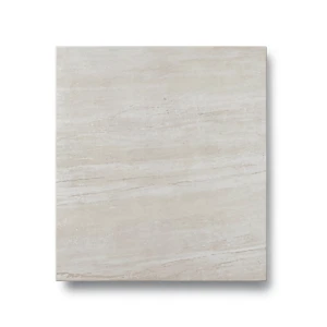 Porcelain Floor Tiles Thickness 10 mm, Dimensions 60x60 cm, Taupe Color, Wild Model