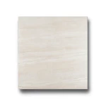 Porcelain Floor Tiles Thickness 10 mm, Dimensions 60x60 cm, Taupe Color, Wild Model