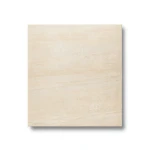 Porcelain Floor Tiles 9 mm Thickness, 30x30 cm, Beige, Wild Model