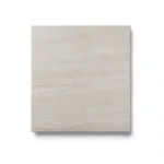 Porcelain Floor Tiles Thickness 10 mm, Dimensions 60x60 cm, Taupe Color, Wild Model
