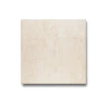 Porcelain Floors 60x60 cm Almond Color, Thickness 10 mm, Square Shape