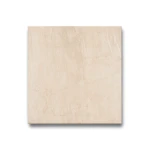 Porcelain Floors 60x60 cm Beige, Thickness 10 mm, Square