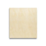 Porcelain Floors Thickness 9 mm, Size 30x30 cm, Gold Color, Quarzite Design
