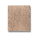 Fossil Porcelain Floors 20x60 cm, Nut Color