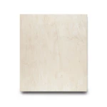Porcelain Floors 3x60 cm Almond Rectangular
