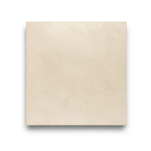 Modern Porcelain Flooring 30x30 cm Almond