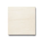 Porcelain Floors Tiles Thickness 10 mm, 60x60 cm, Cream Color, Wild Model