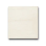 Porcelain Floors Tiles Thickness 10 mm Size 30x60 cm Cream Color Wild Model