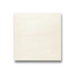 Porcelain Flooring 9 mm Thickness 30x30 cm Square Cream Color Wild Model