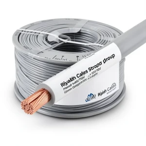 سلك مجدول نحاس معزول PVC، مقاس 10mm، 450/750 فولت، لون رمادي | مجموعة كابلات الرياض