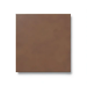 Porcelain Floor Tiles Height 12 mm, Dimensions 30x30 cm, Brown Compact Color, Compact Model