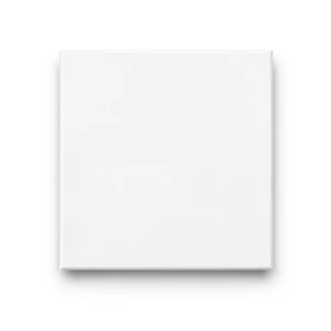 Floor Tiles Porcelain Thickness 12 mm, Size 30x30 cm, White Compact Color