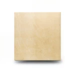 Petra Porcelain Flooring 60x60 cm, Golden, Thickness 10 mm, Square Shape
