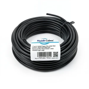 Riyadh Cables 10 sq mm Stranded Copper Wire 450/750V Black Color 100m Coil Length