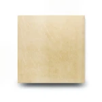Porcelain Floor Tiles 30x30 cm, Thickness 9 mm, Golden Color