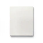 Porcelain Floor Tiles Petra 5x30 cm White Rectangular