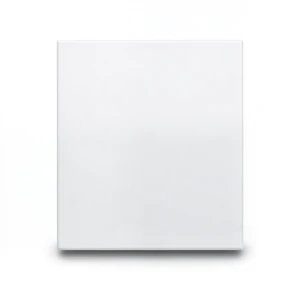 Porcelain Floor Tiles 9 mm Height 40x40 cm Size, Matt Compact White