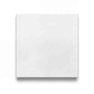 Porcelain Flooring 10 mm Thick 60x60 cm Matte White, Legend Design