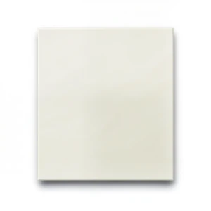 Porcelain Floor Tiles 60x60 cm Thickness 10 mm Matte Cream, Legend Design