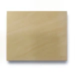 Porcelain Flooring 10 mm Thick, 30x60 cm, Matte Gold, Legend Design