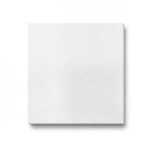 Porcelain Floor Tiles 10 mm Thickness 60x60 cm White, Croma Mall Model