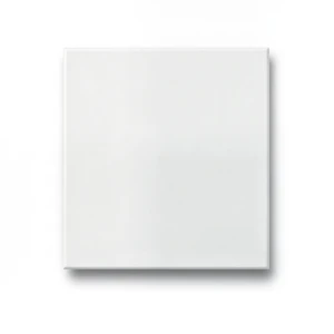 Porcelain Floor Tiles Thickness 10 mm, Size 30x60 cm, White Color, Croma Mall Model