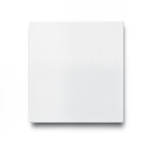 Porcelain Floor Tiles 10 mm Thickness, 30x60 cm Size, Matt White, Croma Mall