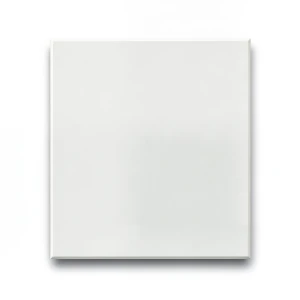 Porcelain Floor Tiles 10 mm Thickness, 45x45 cm Size, Matt White, Croma Mall Model