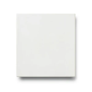 Porcelain Floor Tiles 10 mm Thickness, 45x45 cm Size, Matt White, Croma Mall Model