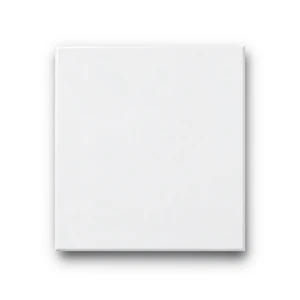 Porcelain Flooring 10 mm Height 60x60 cm Matt White, Croma Mall Model