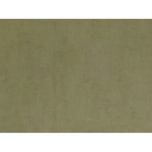 Dutch Plain Wallpaper 10m x 0.53m, Green Color
